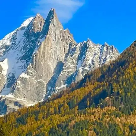 Centre Grande Terrasse Mont Blanc シャモニー