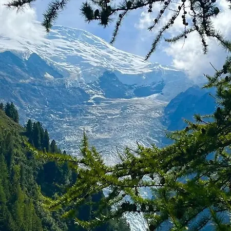 דירה Centre Grande Terrasse Mont Blanc שאמוני